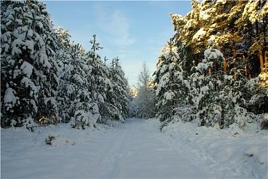 《索尼克：未知边境》全新预告 11月8日登陆全平台