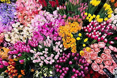 第2部电影后续剧情《机械战警：暴戾都市》新预告