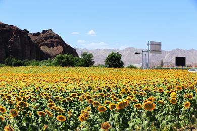 《勇者斗恶龙10》6.2版更新情报 勇者秘史透露